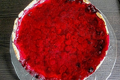 Sina`s leckerer Himbeerpuddingkuchen 56