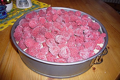 Sina`s leckerer Himbeerpuddingkuchen 61
