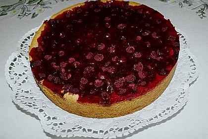 Sina`s leckerer Himbeerpuddingkuchen 73