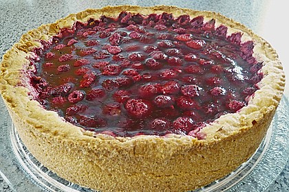 Sina`s leckerer Himbeerpuddingkuchen 85