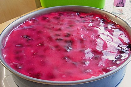 Sina`s leckerer Himbeerpuddingkuchen 90