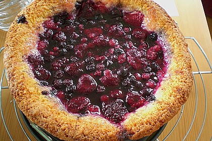 Sina`s leckerer Himbeerpuddingkuchen 95