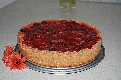 Sina`s leckerer Himbeerpuddingkuchen 100