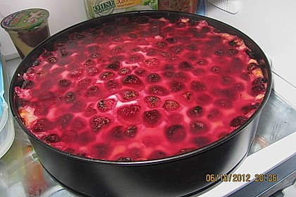 Sina`s leckerer Himbeerpuddingkuchen 101
