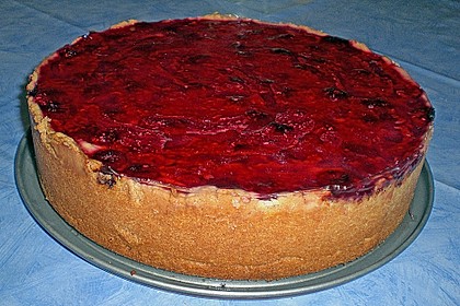 Sina`s leckerer Himbeerpuddingkuchen 14