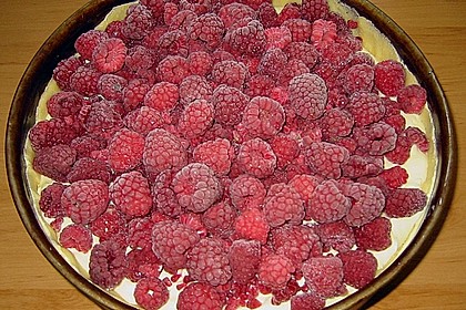 Sina`s leckerer Himbeerpuddingkuchen 16