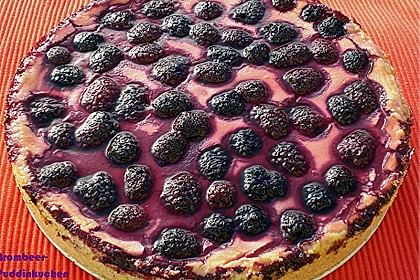 Sina`s leckerer Himbeerpuddingkuchen 19
