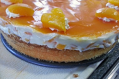 Vitamin - Fruchttorte 7