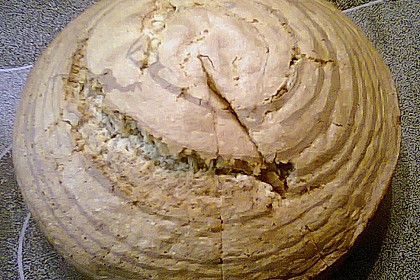 Zebrakuchen 217