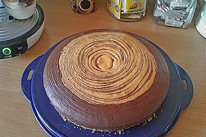 Zebrakuchen 303