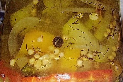 Eingelegte Zucchini 8