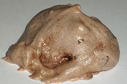 Sch&auml;umle 1