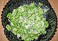Feldsalat