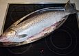 Graved Lachs