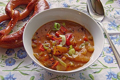 Julies falsche Gulaschsuppe 15