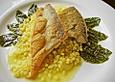 Saiblingfilet auf Safrangraupen und Blutampfer