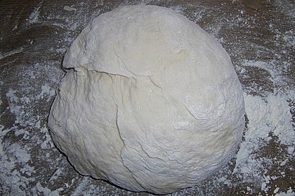 Pizzateig 5