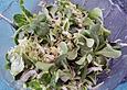 Endivien- und Feldsalat mit Fenchel