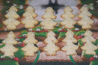 Kokos - Limetten - Bäumchen 9