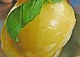 Physalis - Sorbet