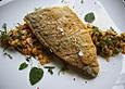 Doradenfilet auf lauwarmem  'indischen' Linsensalat