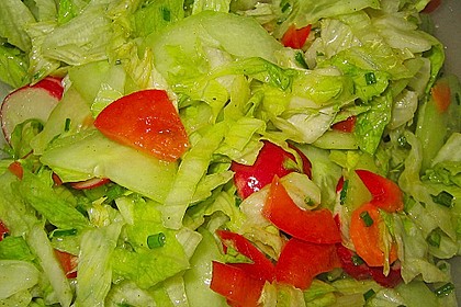 Gemischter Salat 9