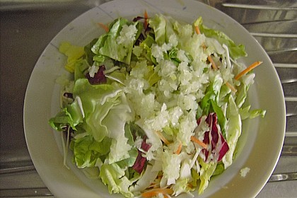 Gemischter Salat 11