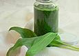 B&auml;rlauch - Gew&uuml;rzpaste