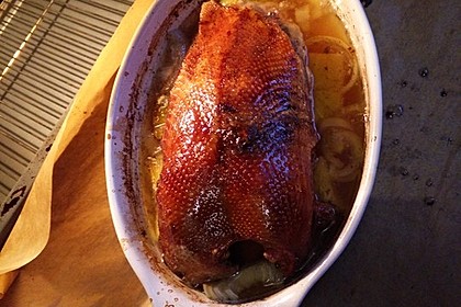 Gänsebrust 13