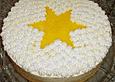 Orangen - Joghurt - Torte