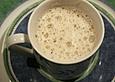 Feuervogels Spargel - Cappuchino