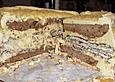 Wei&szlig;e Vanille - Mascarpone - Mousse au Chocolat -Torte mit Mandelkrokant und dreierlei B&ouml;den