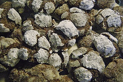 Schokolade - Minze - Kekse 44