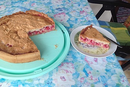 Johannisbeerkuchen 30
