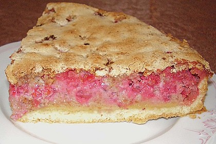 Johannisbeerkuchen 14