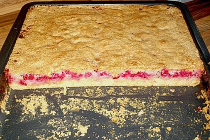 Johannisbeerkuchen 37