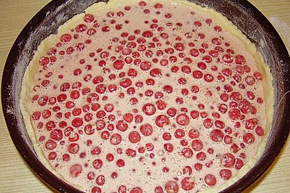 Johannisbeerkuchen 58