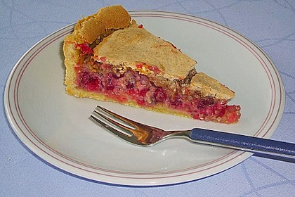 Johannisbeerkuchen 23