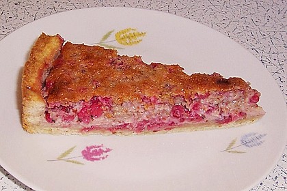 Johannisbeerkuchen 29