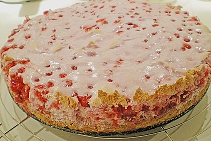 Johannisbeerkuchen 47