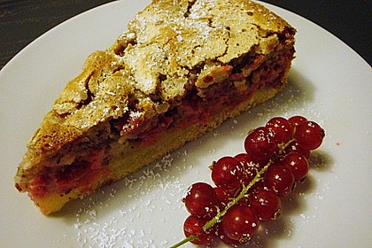 Johannisbeerkuchen 13