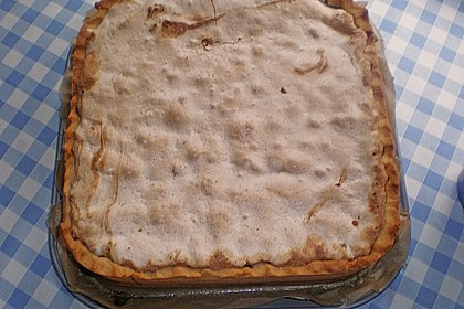 Johannisbeerkuchen 49