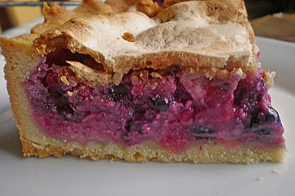 Johannisbeerkuchen 55