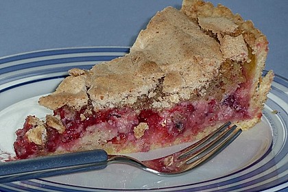 Johannisbeerkuchen 51