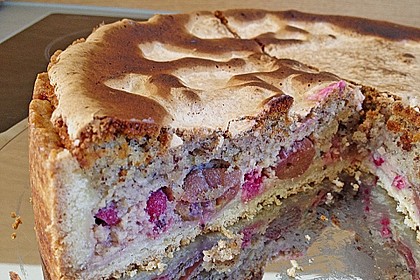 Johannisbeerkuchen 46