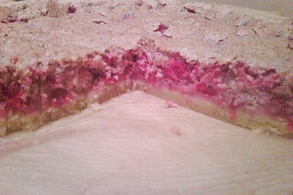 Johannisbeerkuchen 62