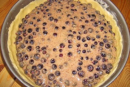 Johannisbeerkuchen 61