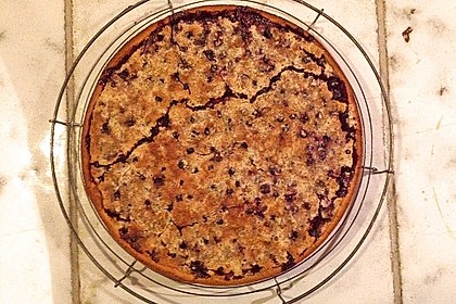 Johannisbeerkuchen 41