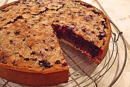 Johannisbeerkuchen 16