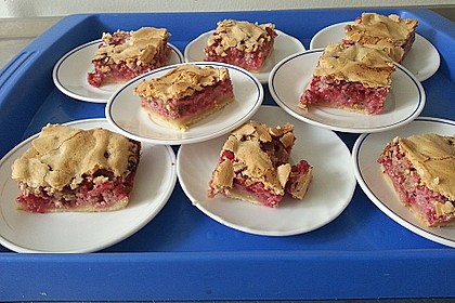 Johannisbeerkuchen 15